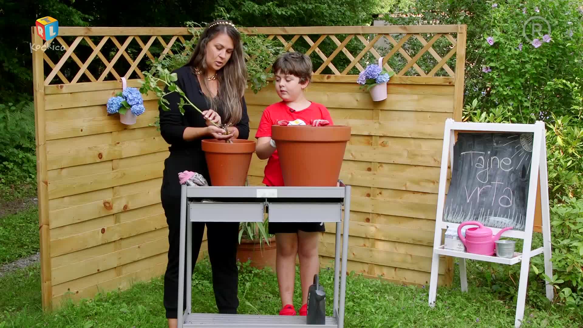 RTLKockica
