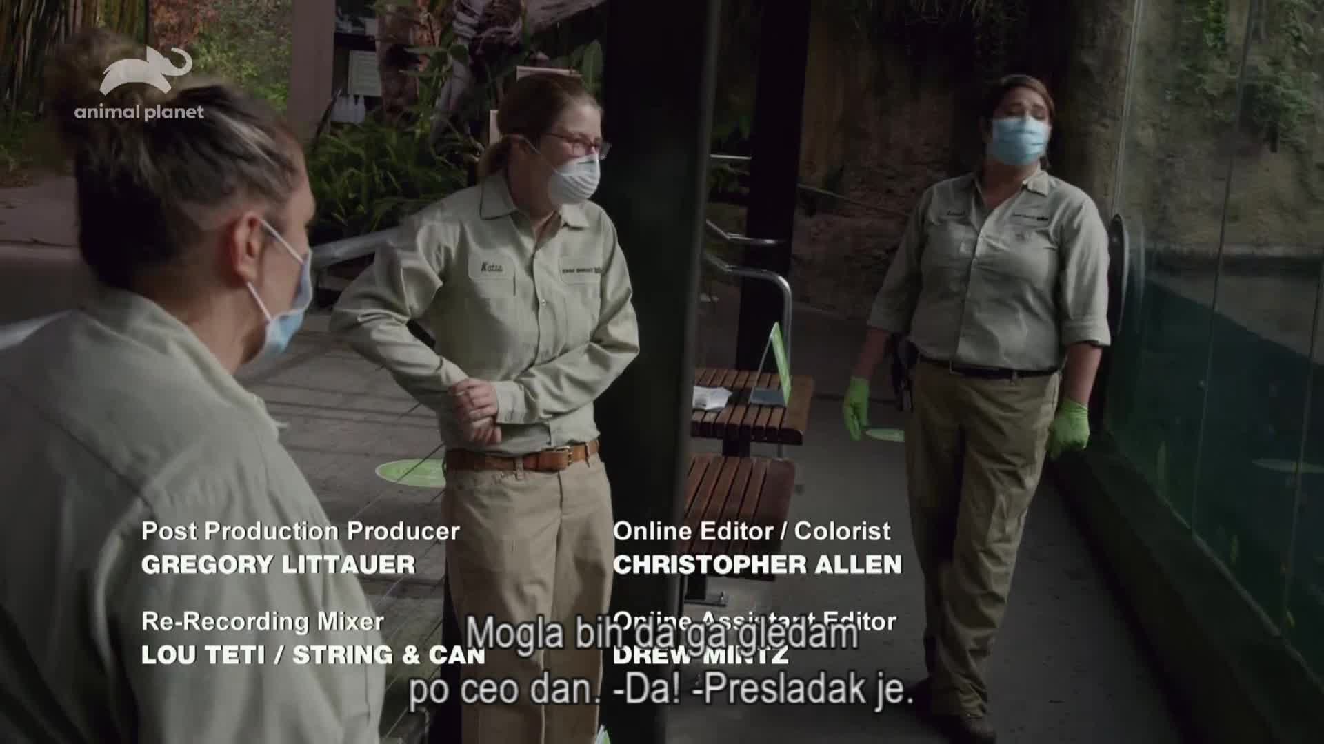AnimalPlanet