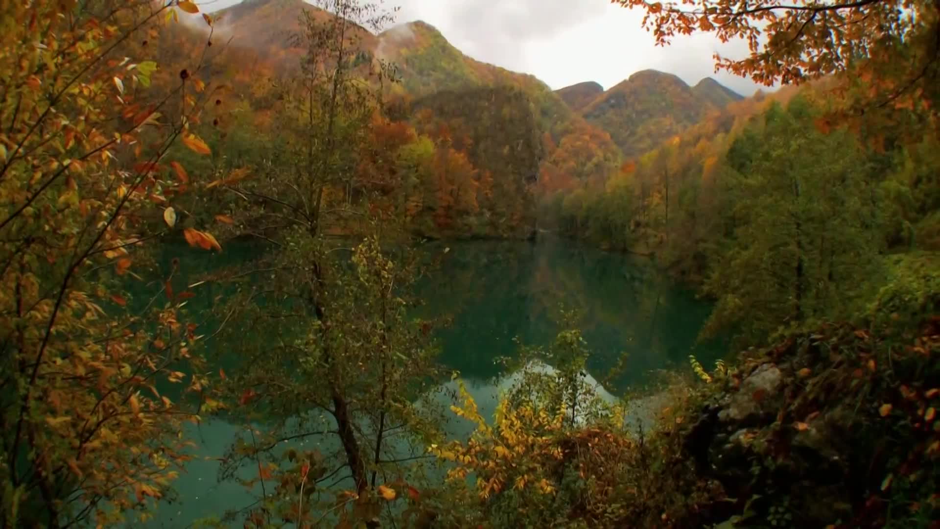 DokuTV