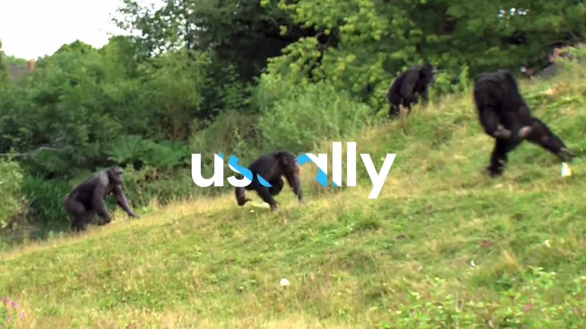 AnimalPlanet