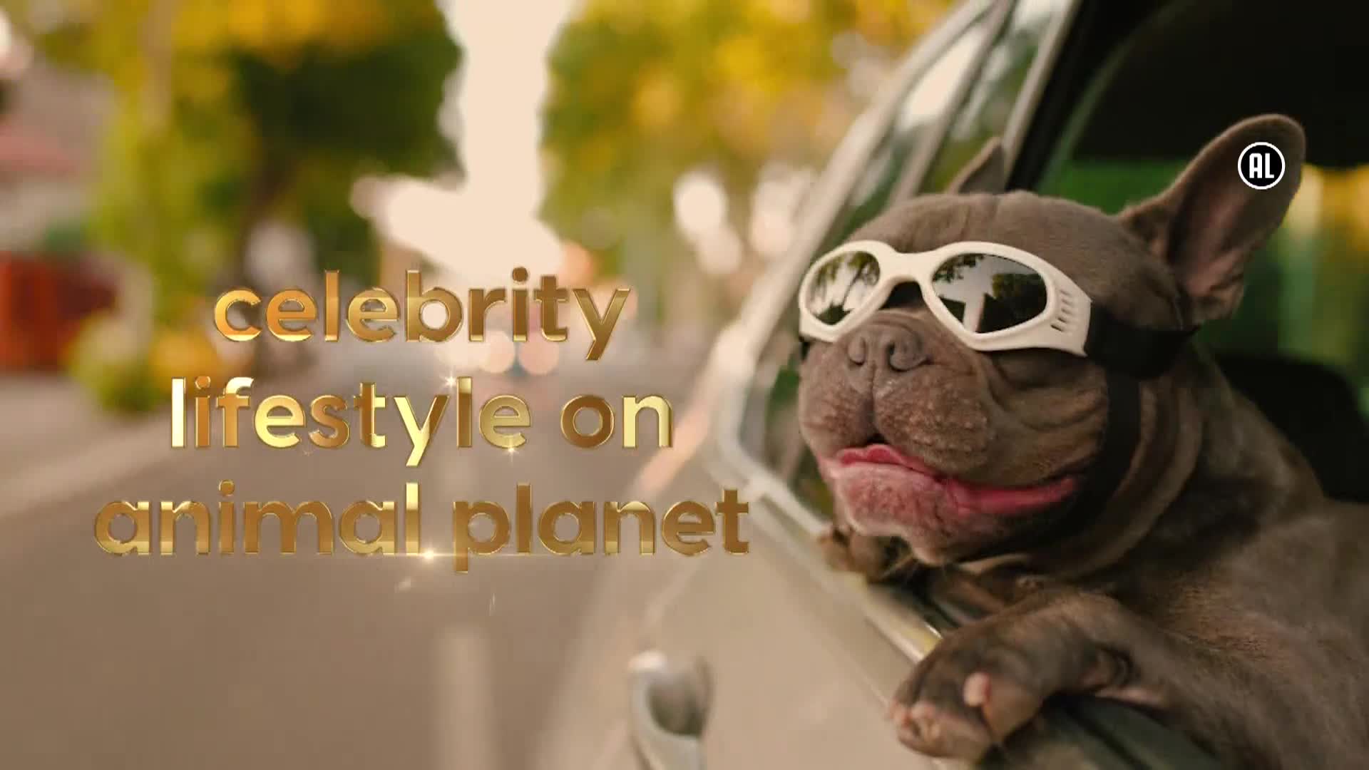 AnimalPlanet