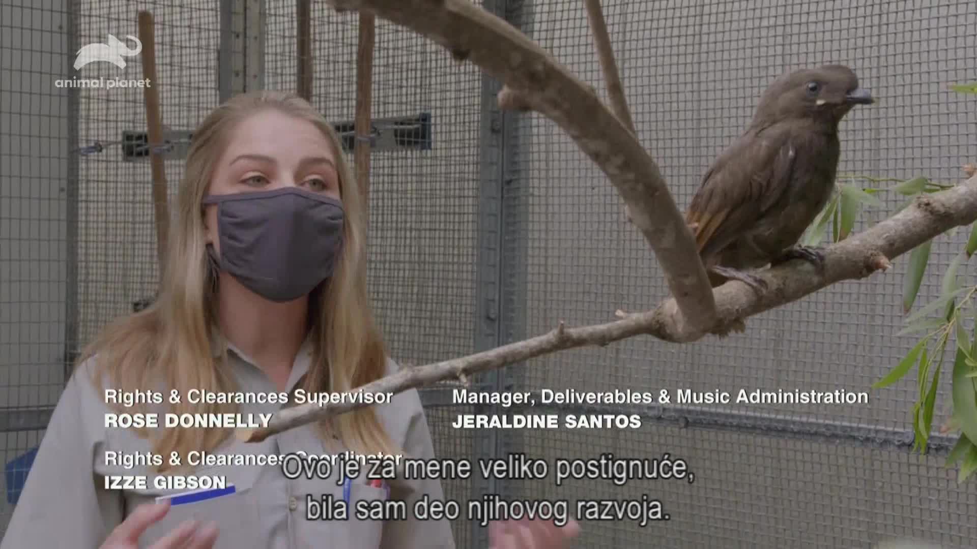 AnimalPlanet
