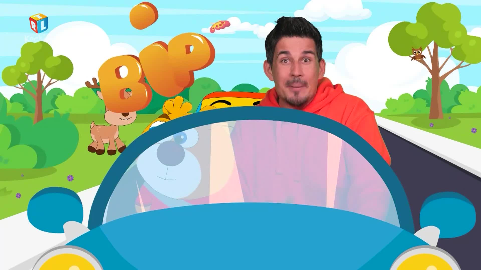 RTLKockica