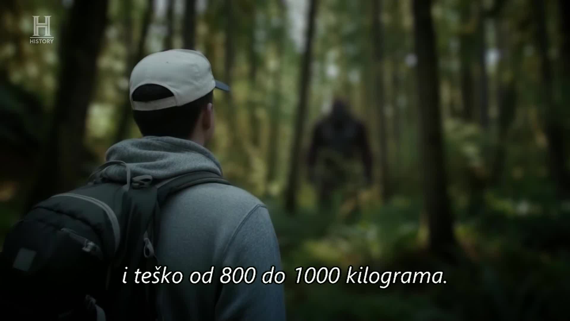 History