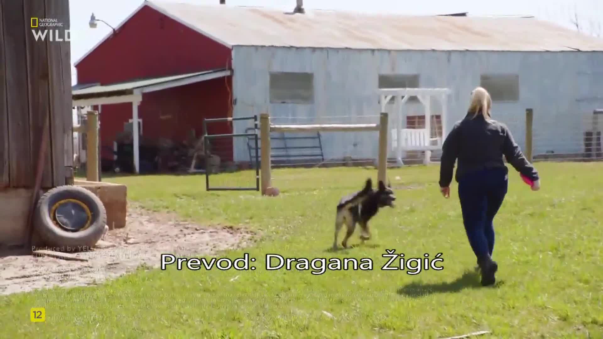 Premium9