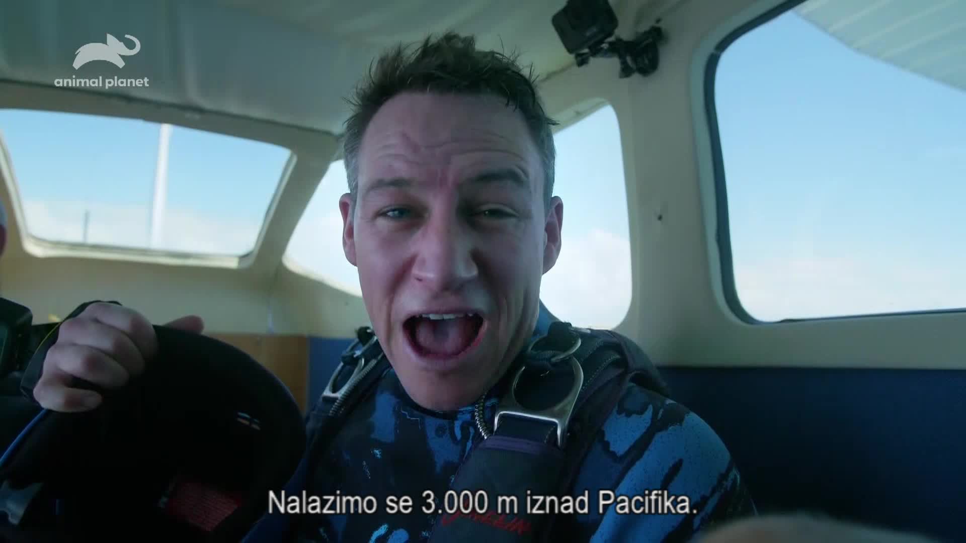 AnimalPlanet