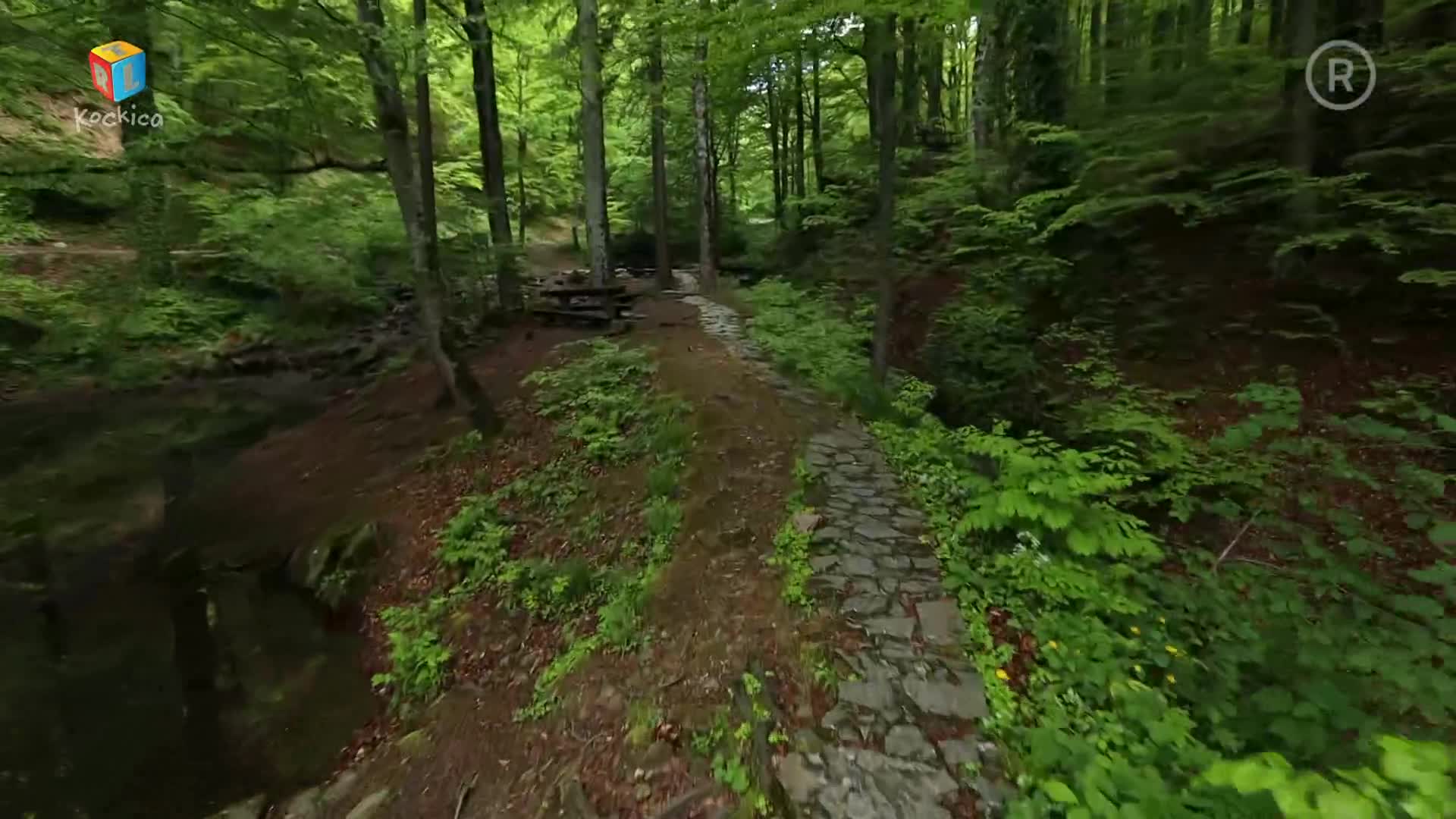 RTLKockica
