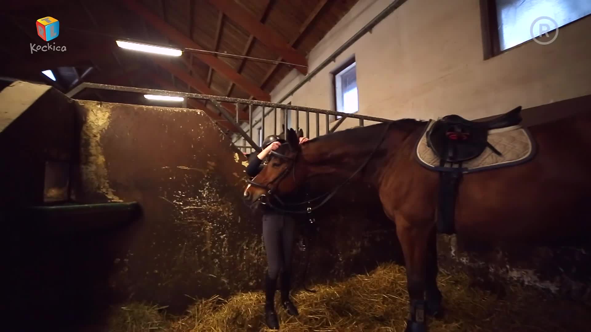 RTLKockica