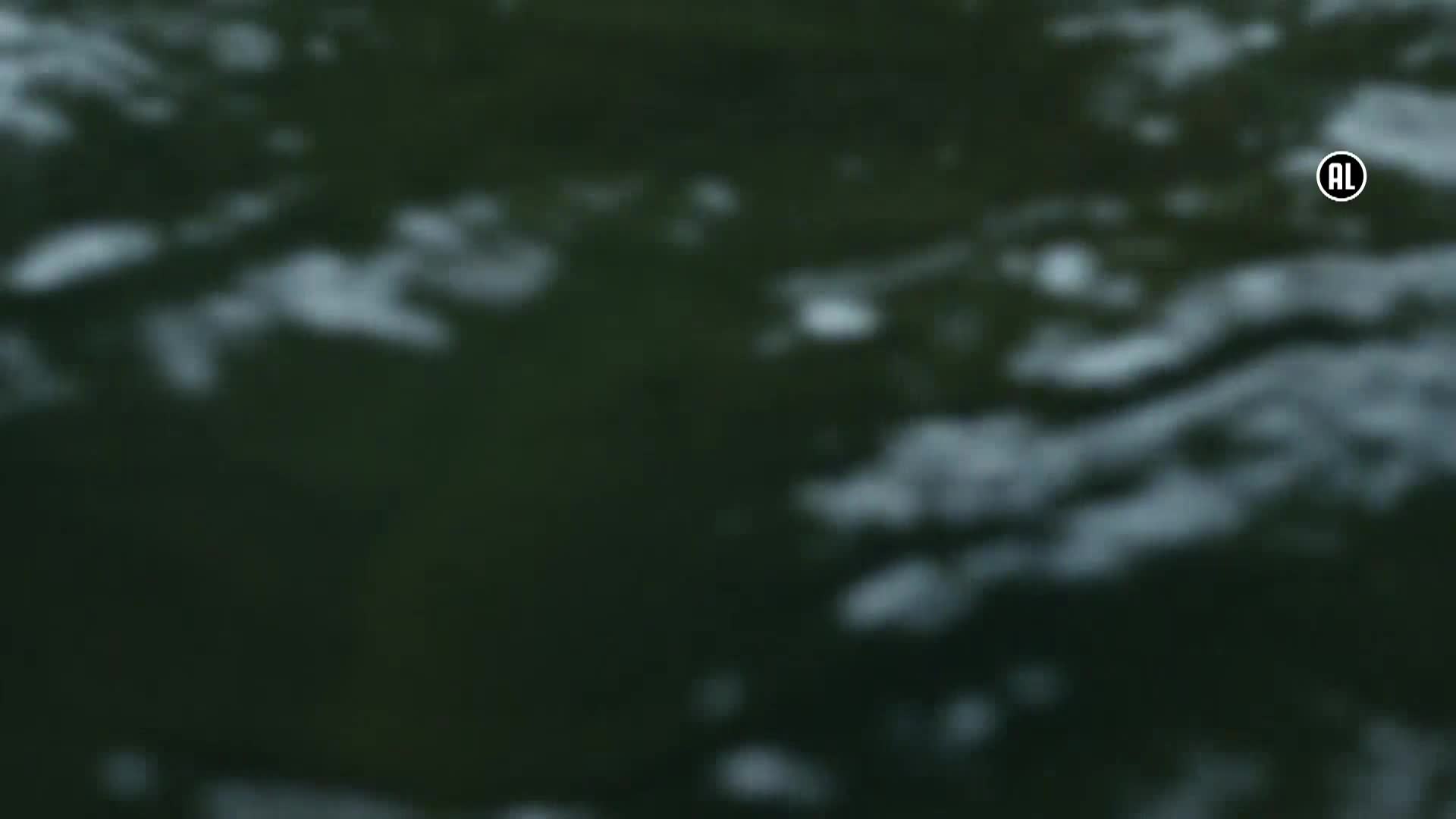 AnimalPlanet