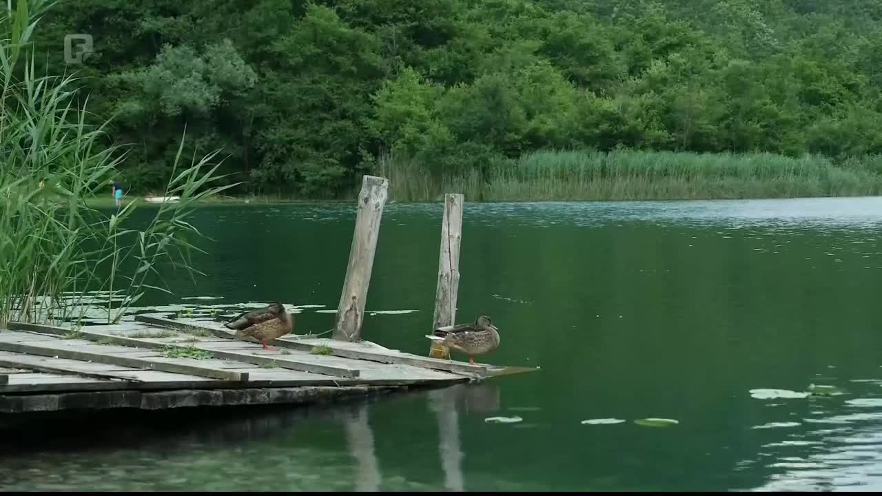 FTV