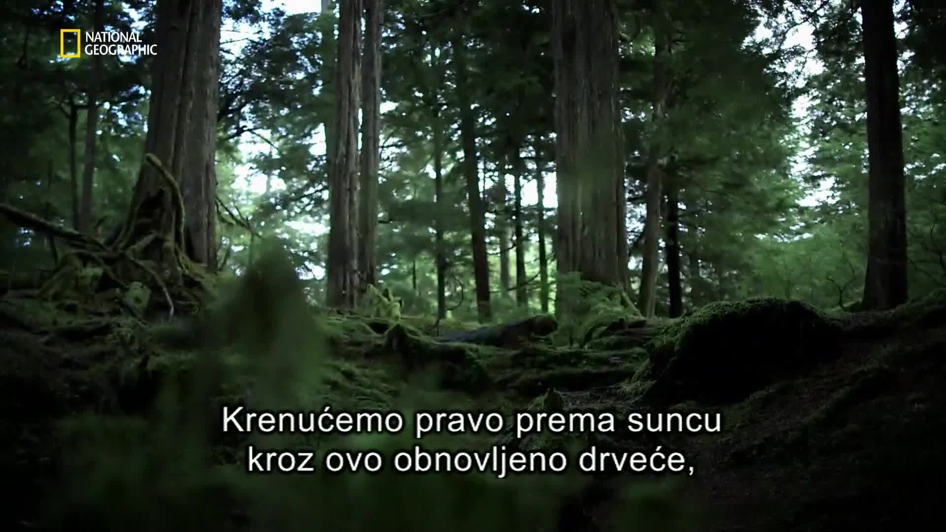 Premium10