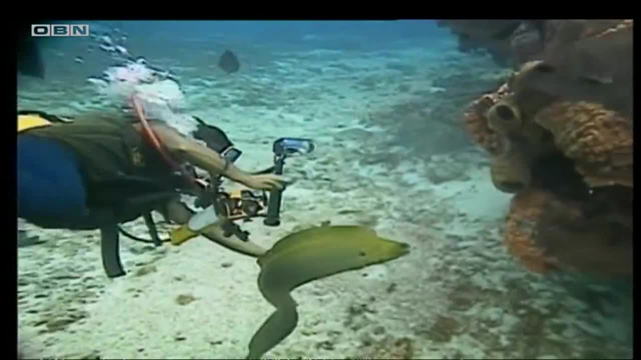 obn