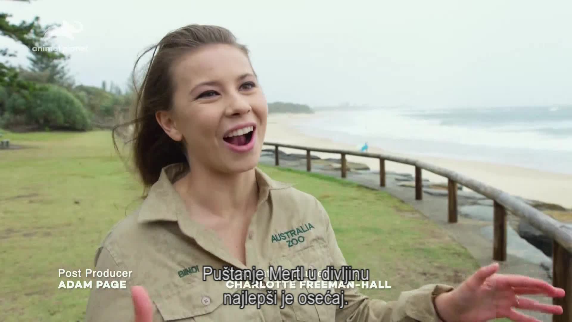 AnimalPlanet