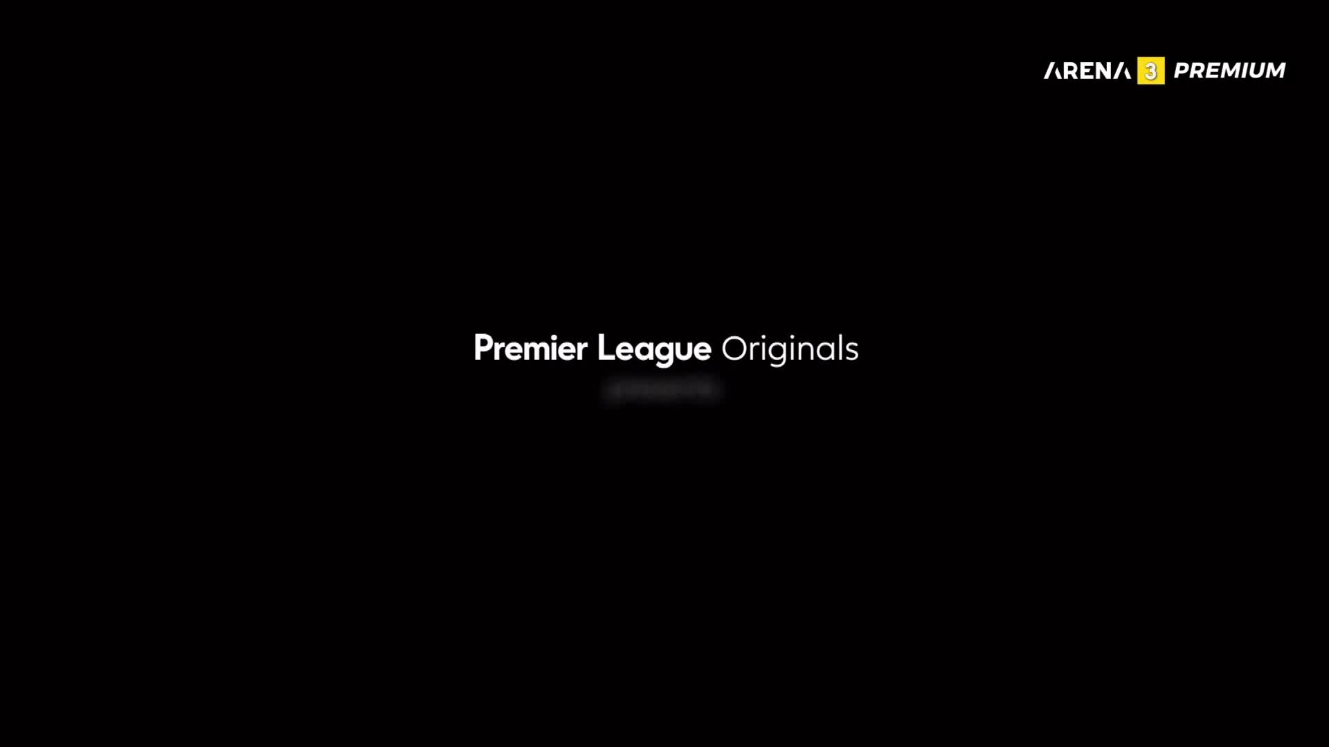 ArenaPremium3