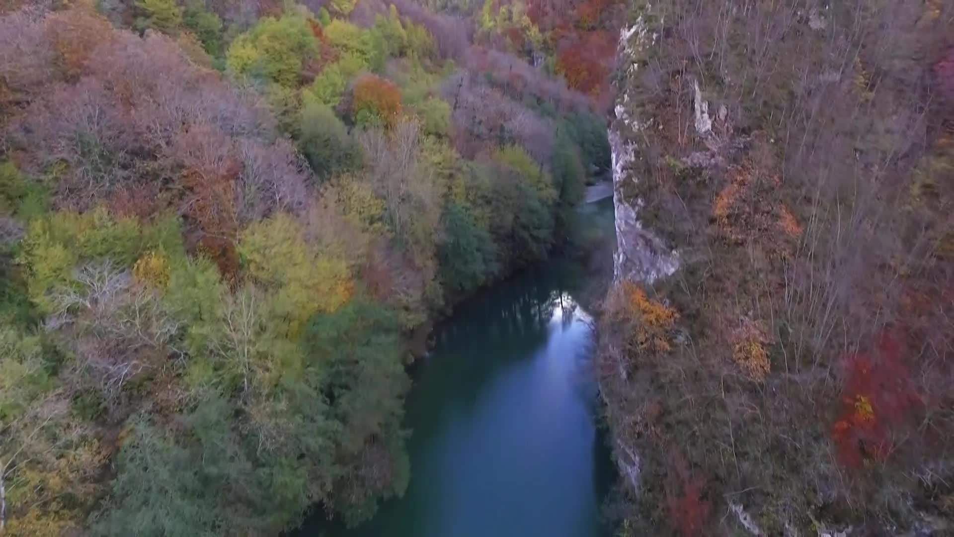 DokuTV