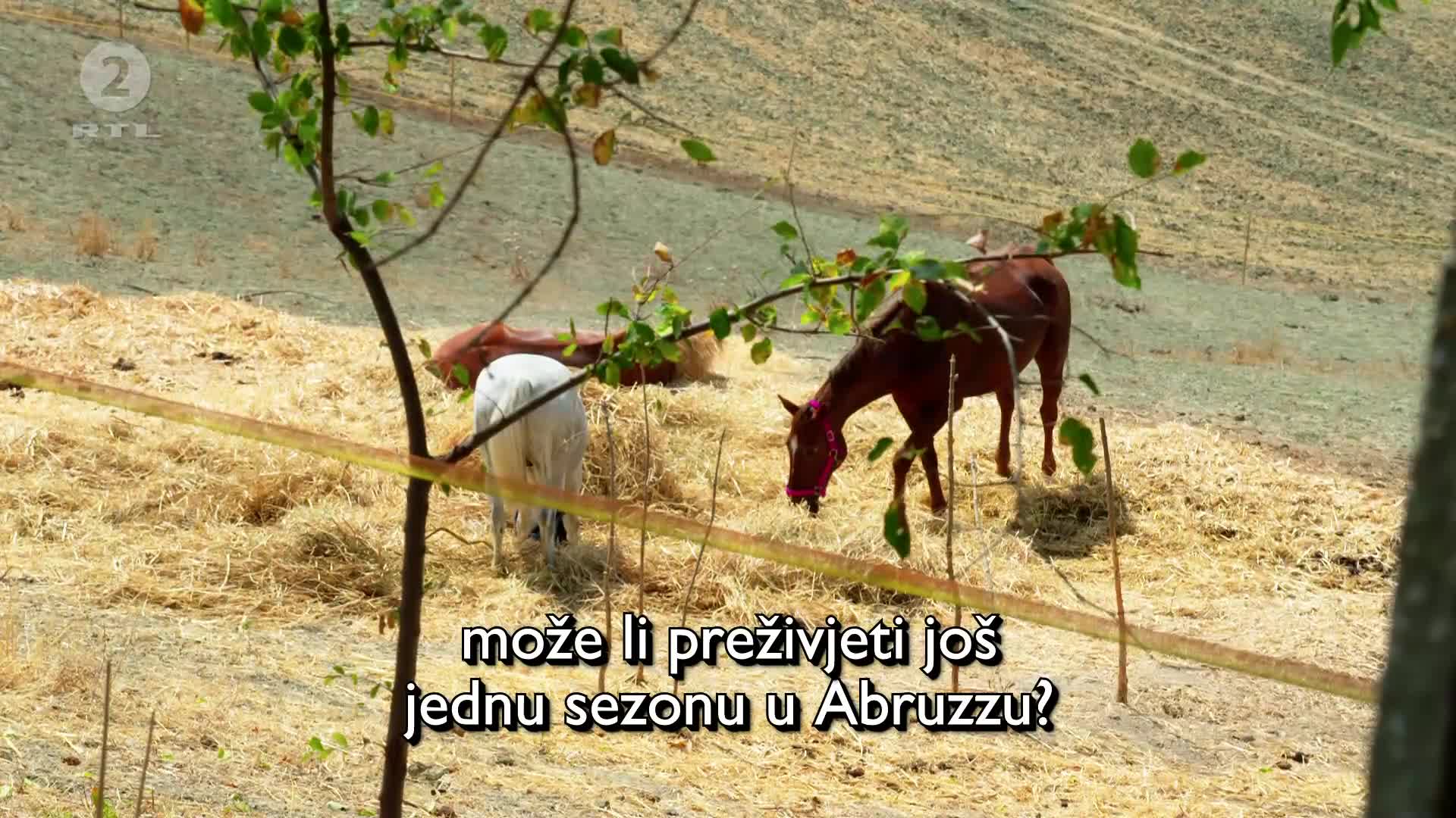 RTL2