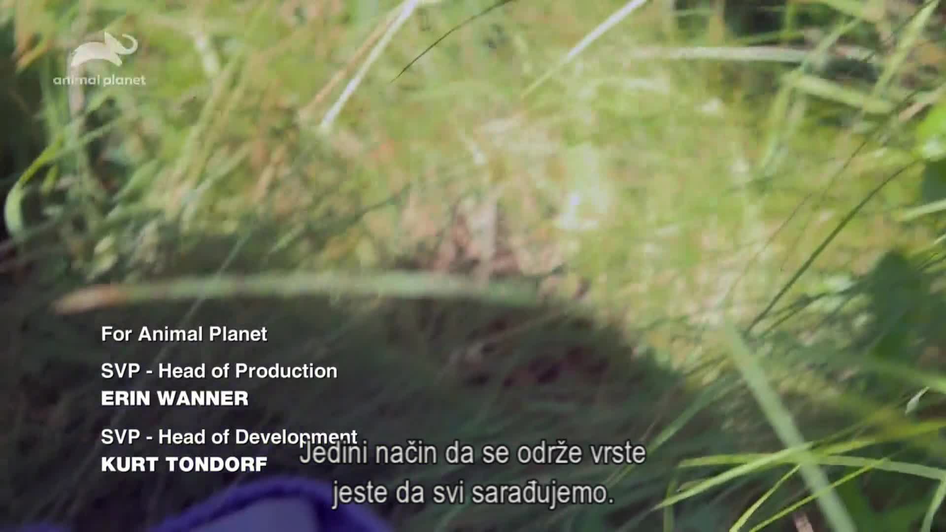 AnimalPlanet