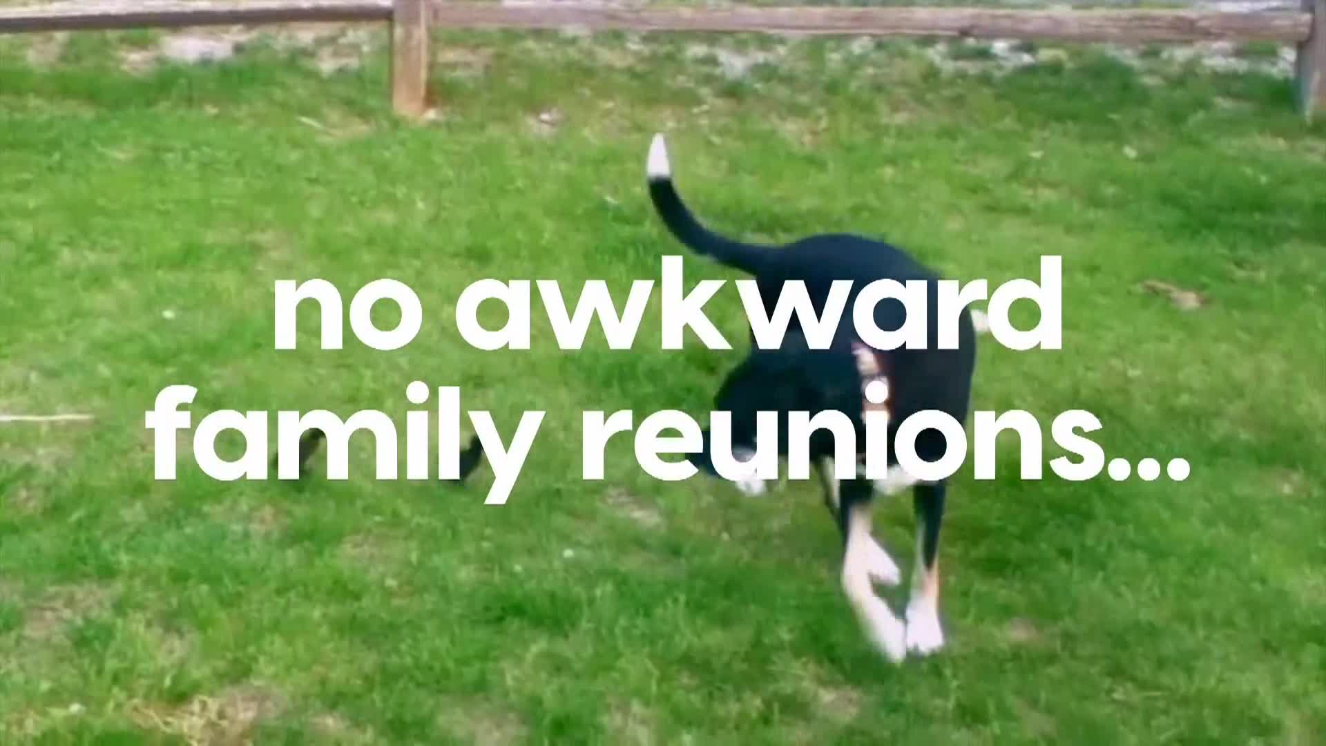 AnimalPlanet