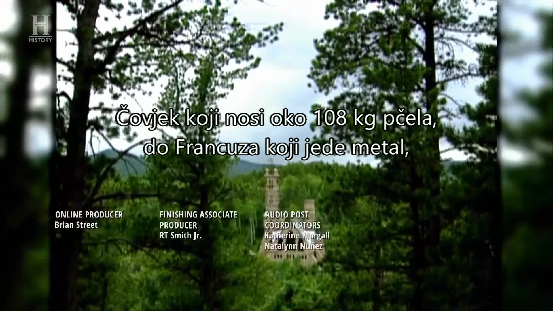 History