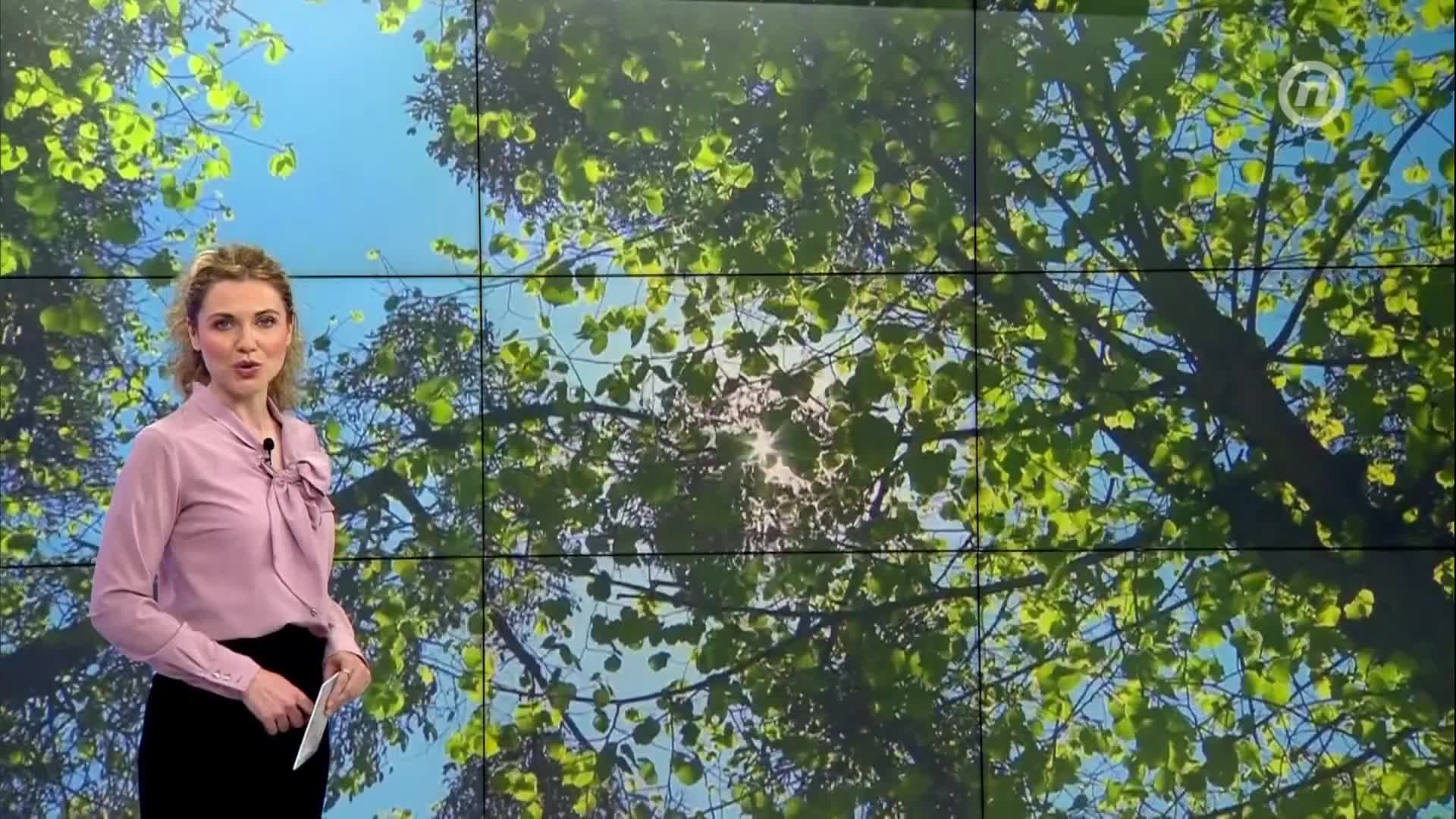 NovaTVbh