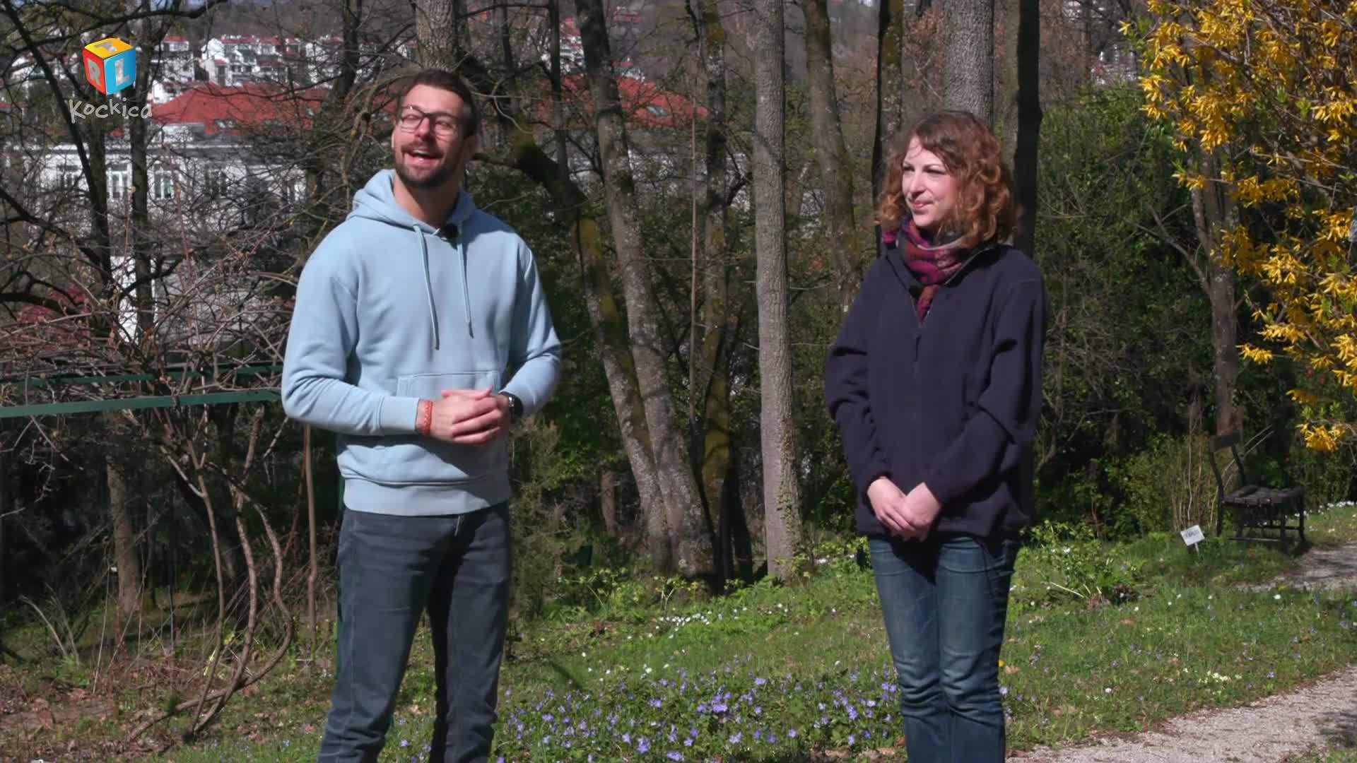 RTLKockica