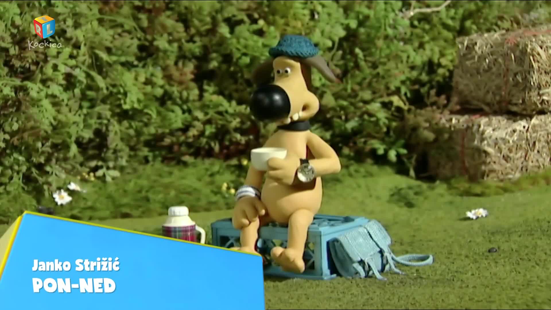 RTLKockica
