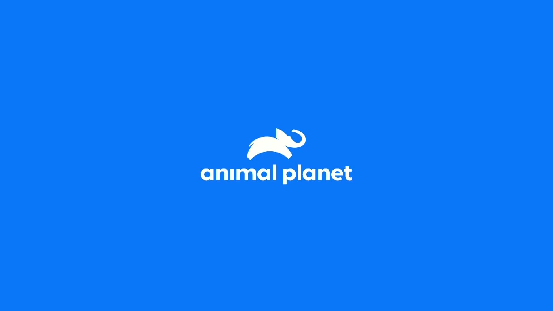 AnimalPlanet