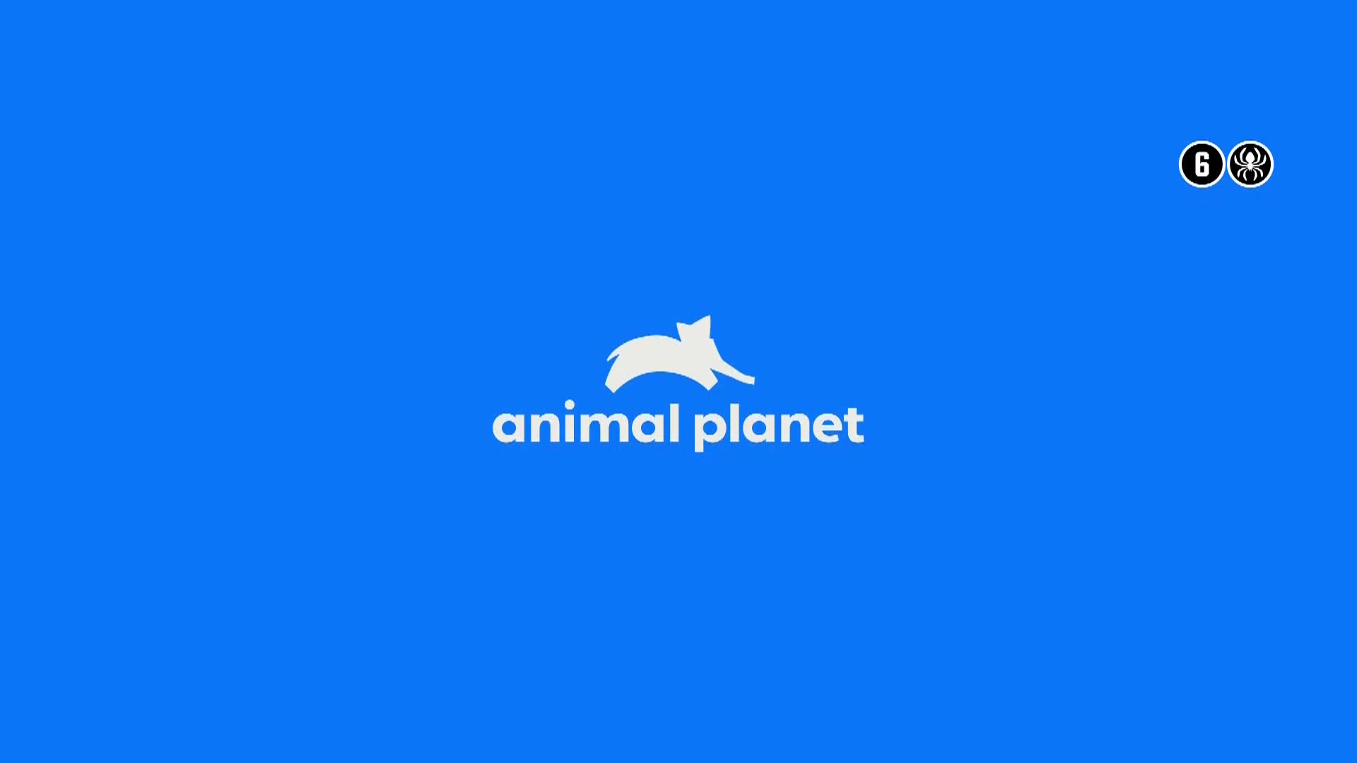 AnimalPlanet