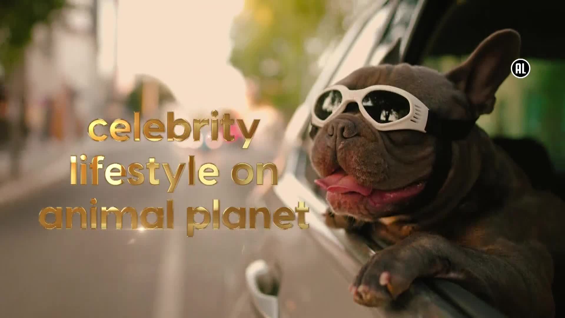 AnimalPlanet