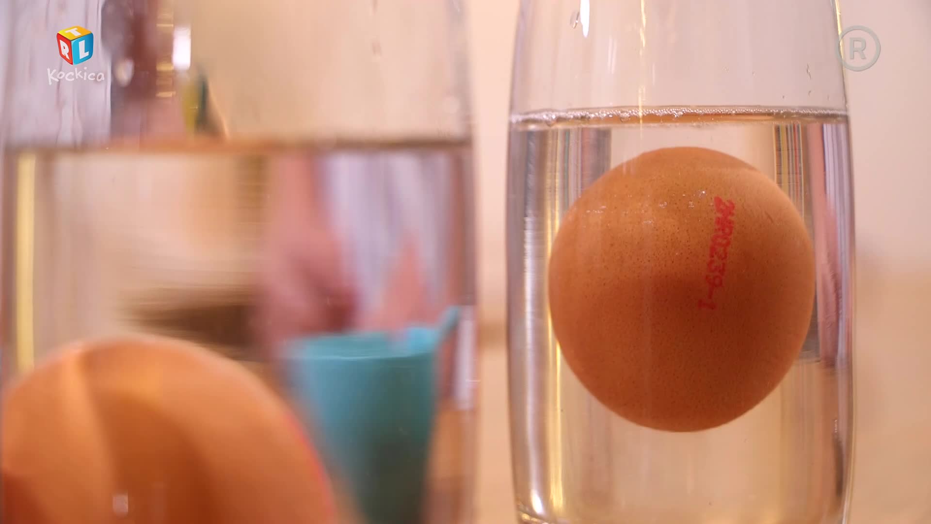 RTLKockica