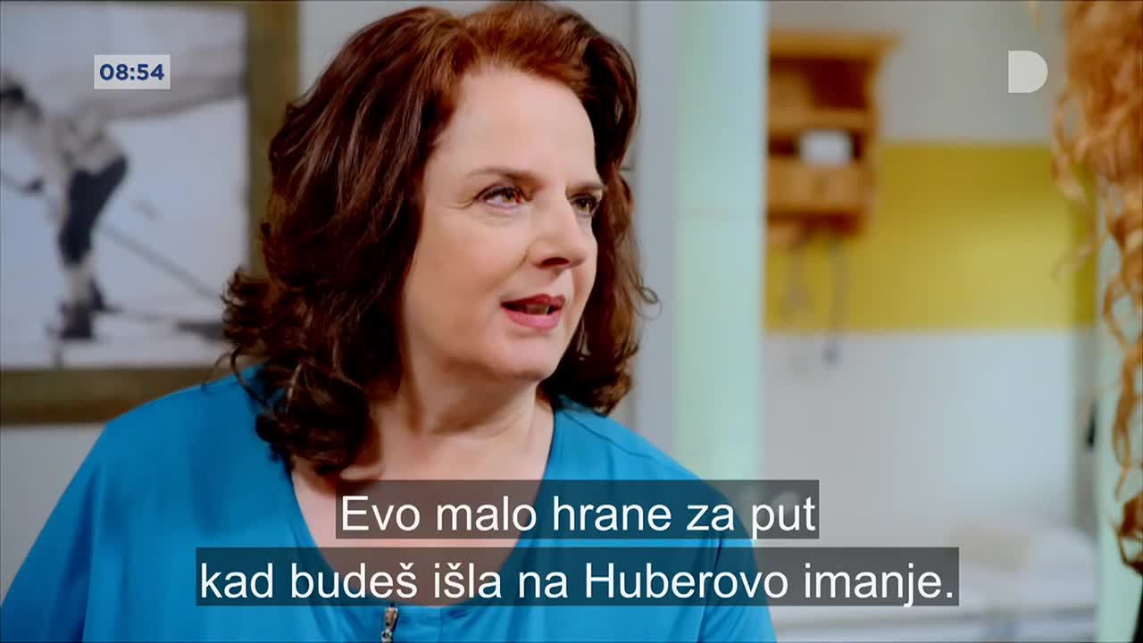 DomaTV