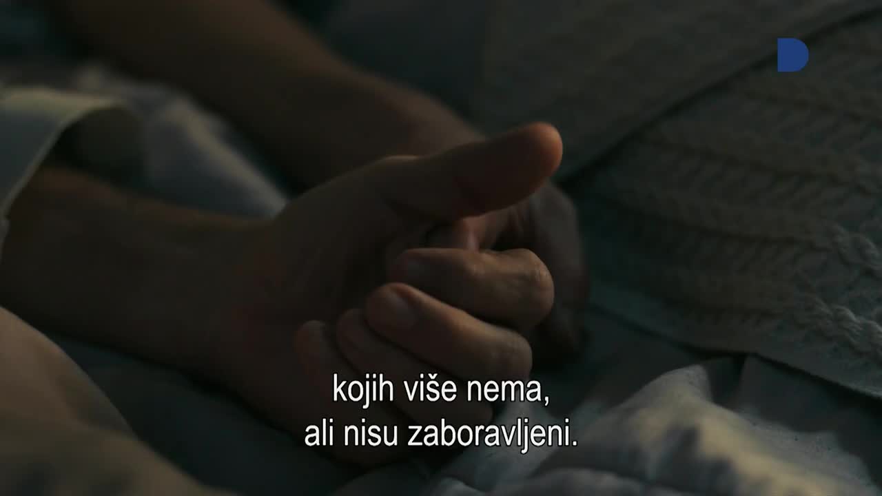 DomaTV