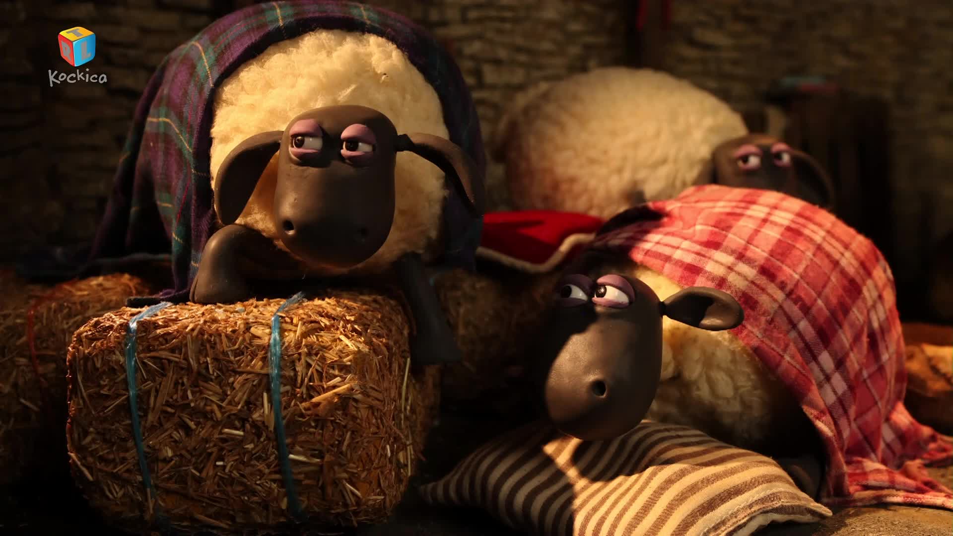 RTLKockica