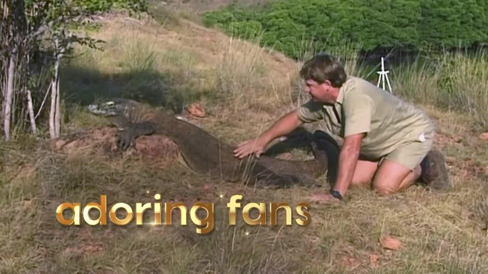 AnimalPlanet