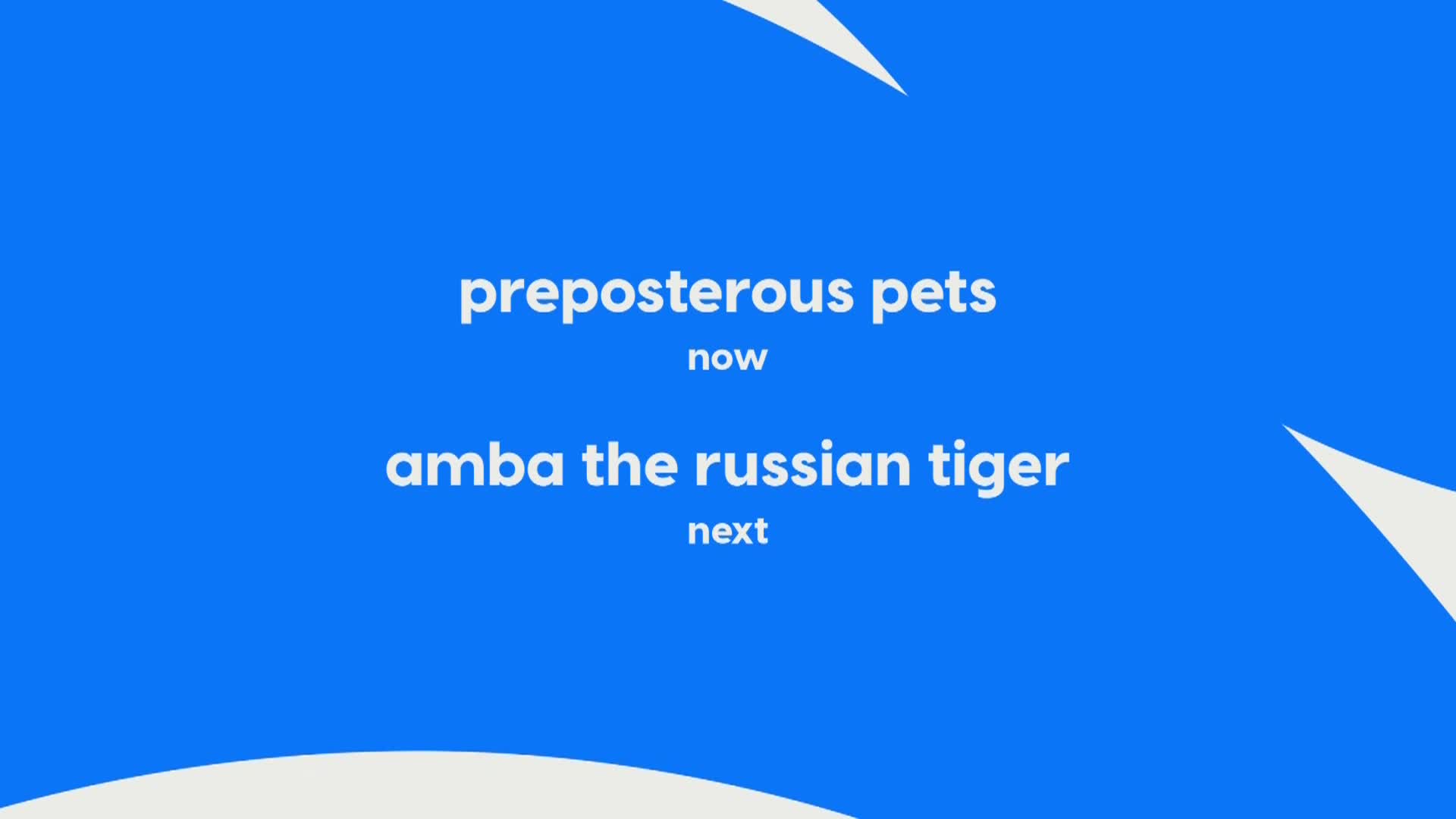 AnimalPlanet