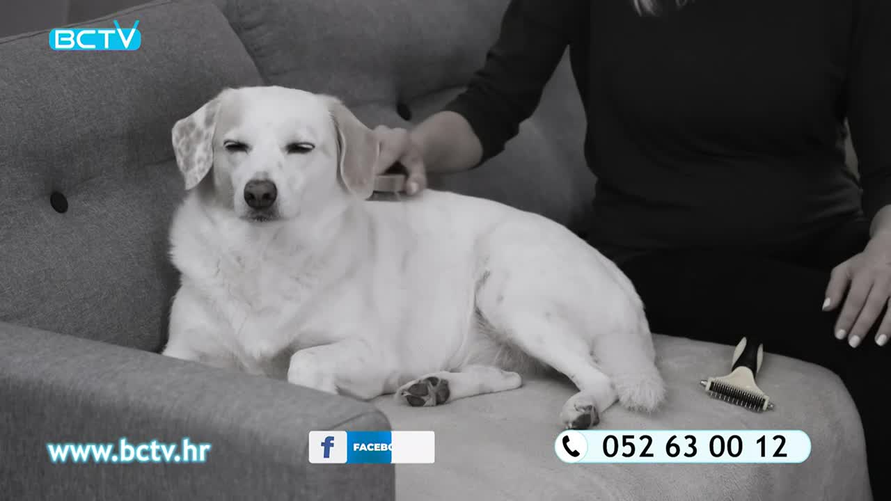 DomaTV