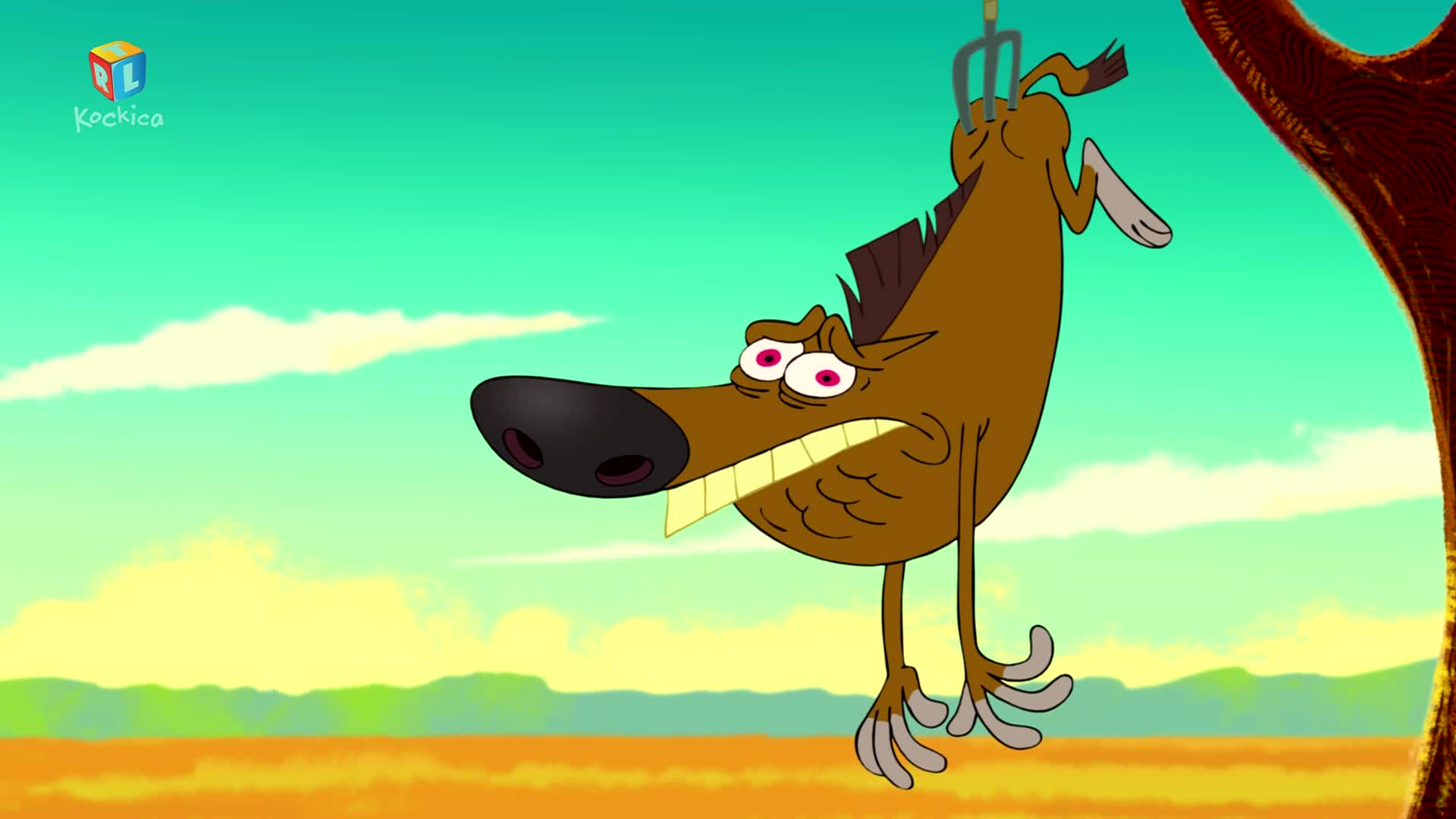 RTLKockica