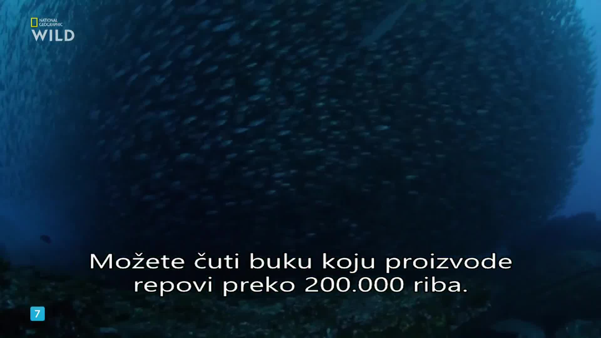 Premium9