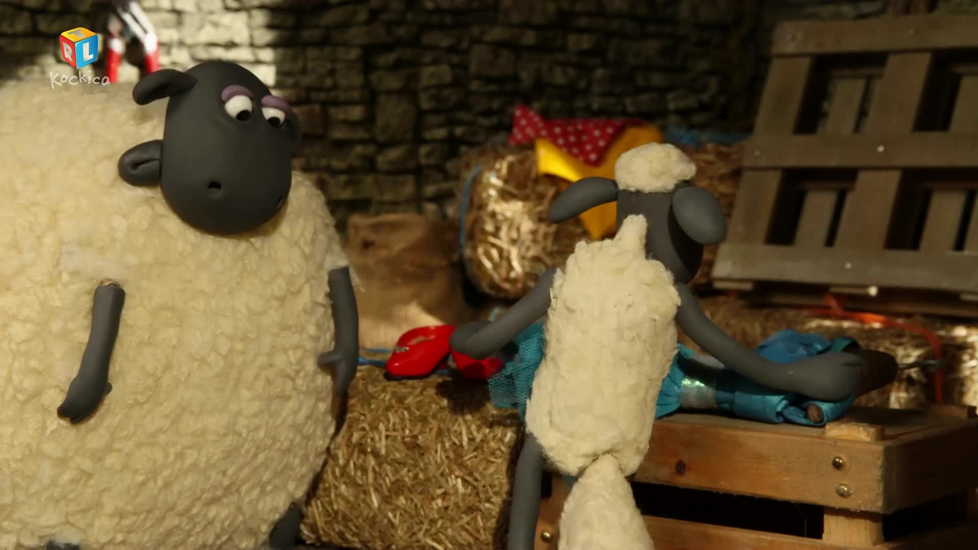 RTLKockica