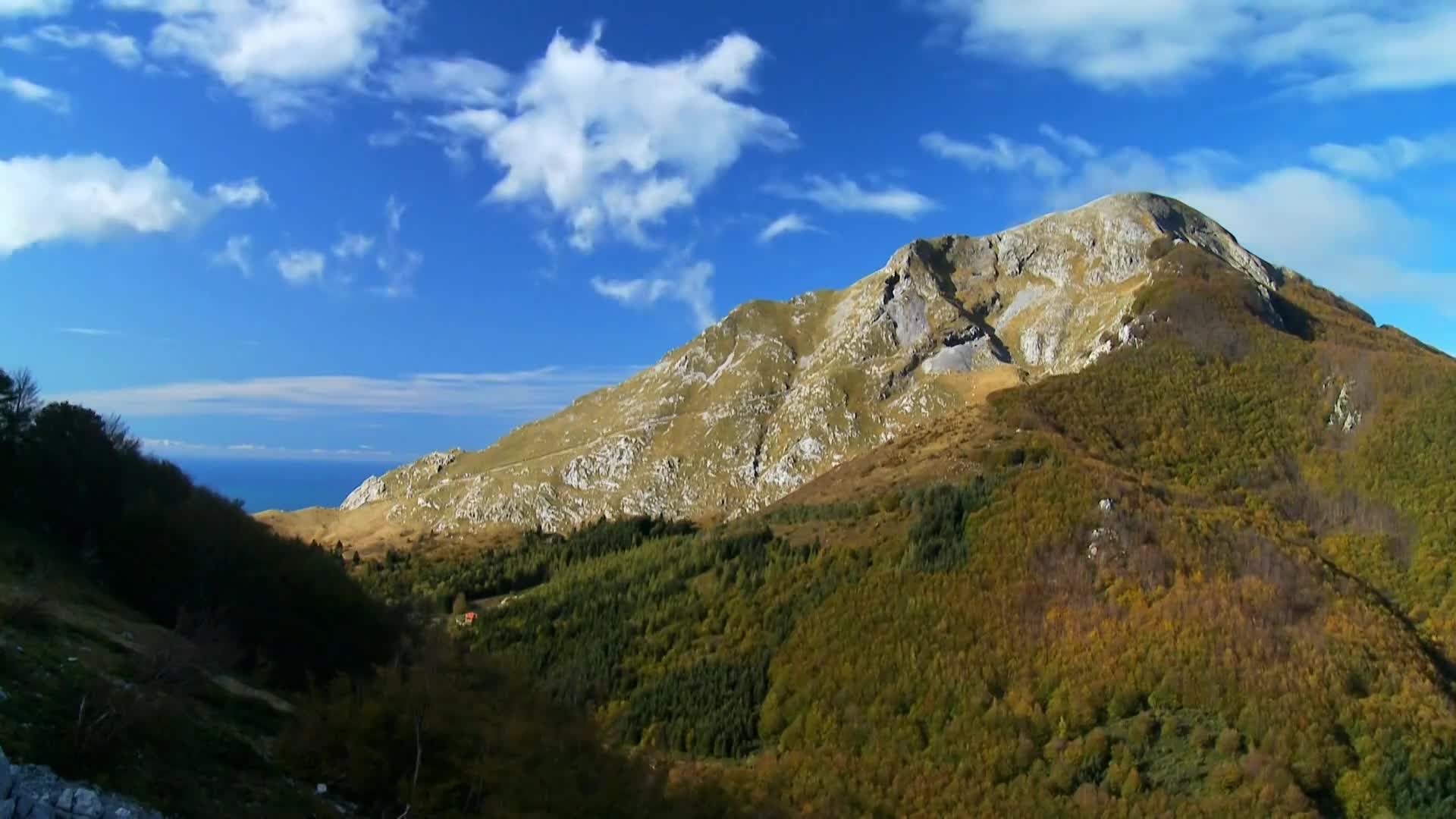 DokuTV