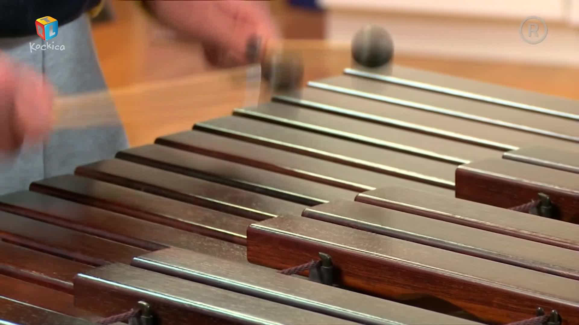 RTLKockica