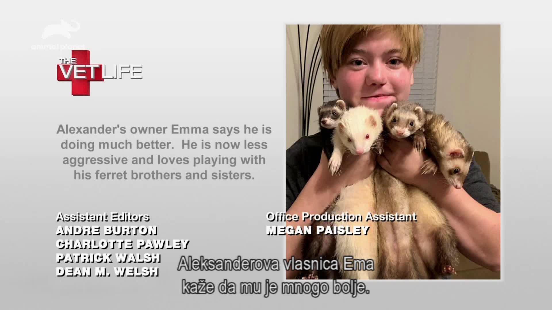 AnimalPlanet