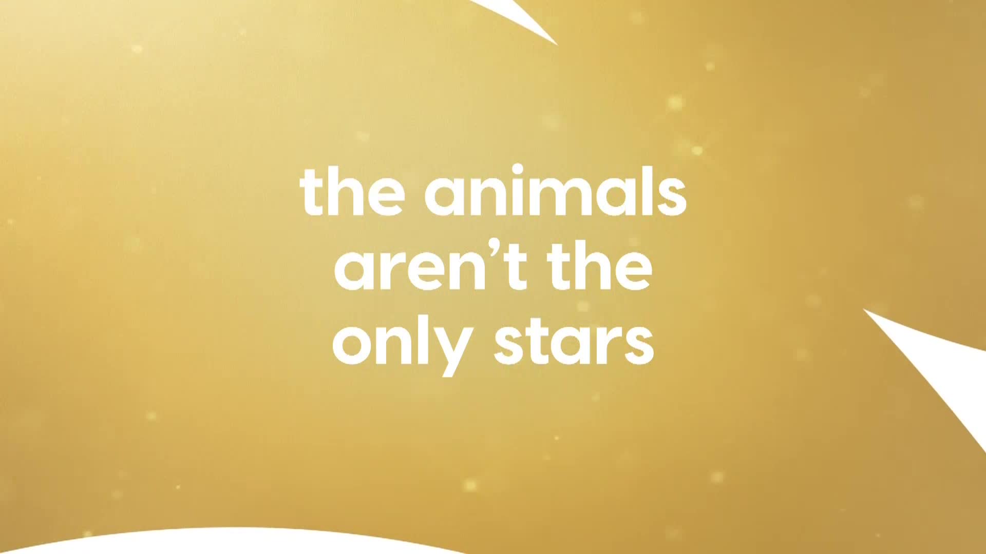 AnimalPlanet