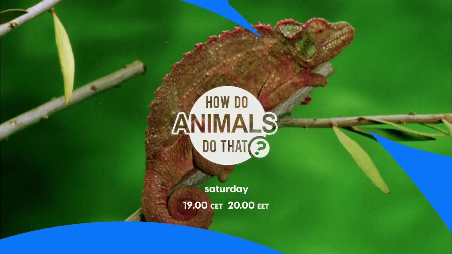 AnimalPlanet