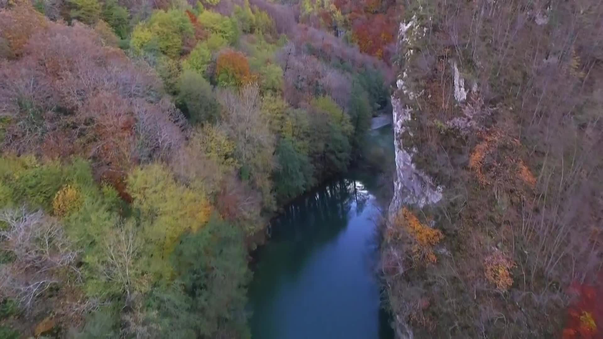 DokuTV