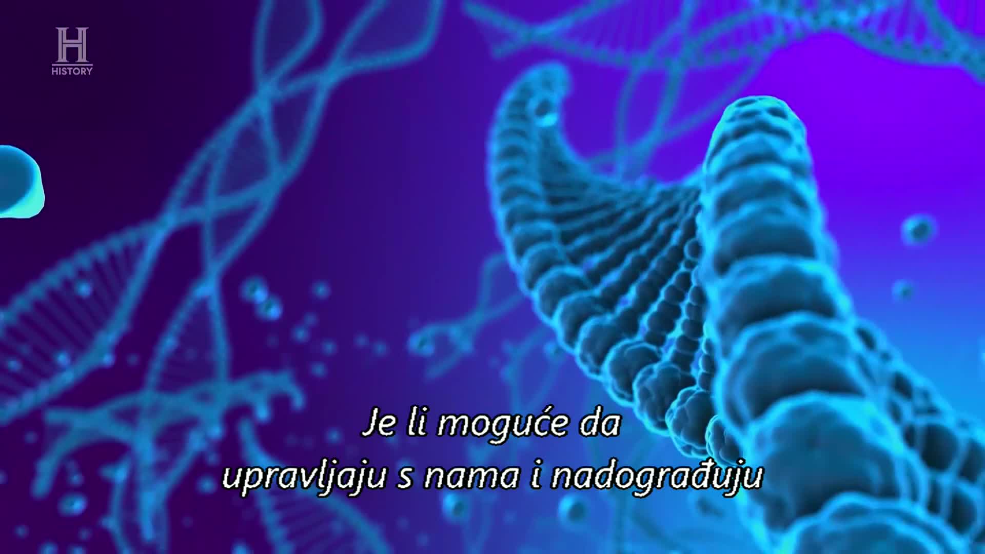 History