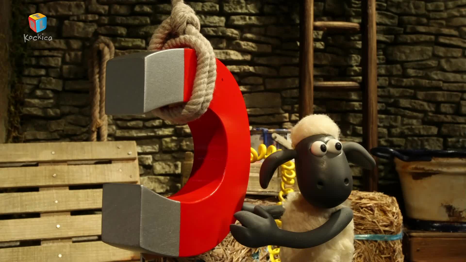 RTLKockica