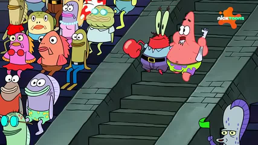 CCExtra