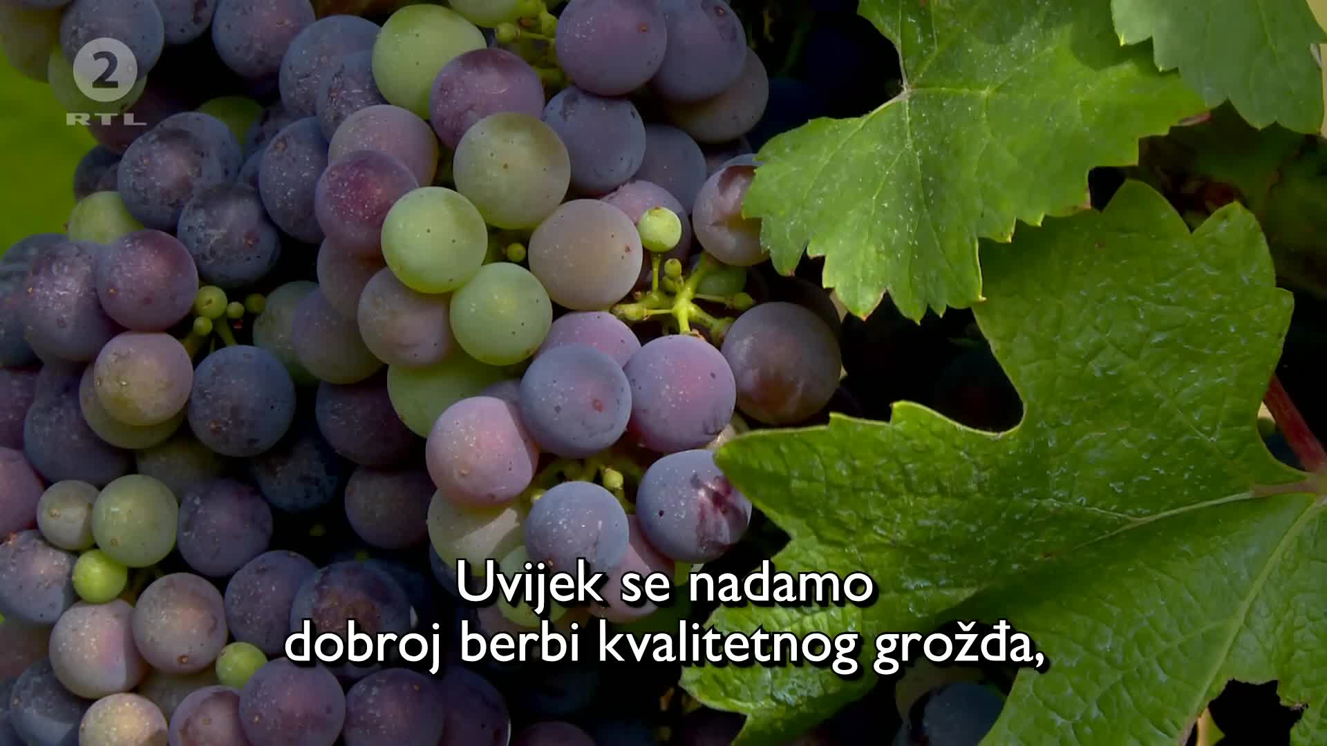 RTL2
