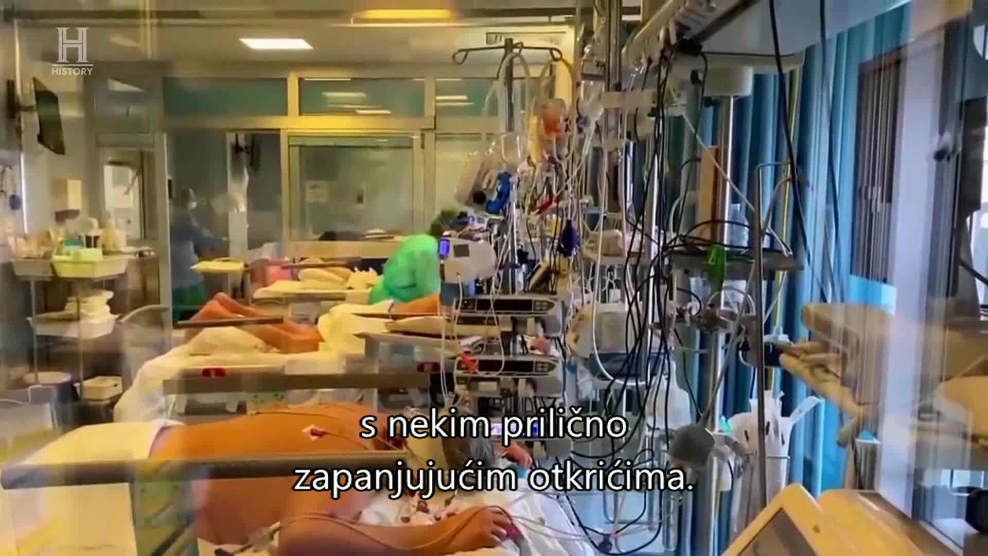 History